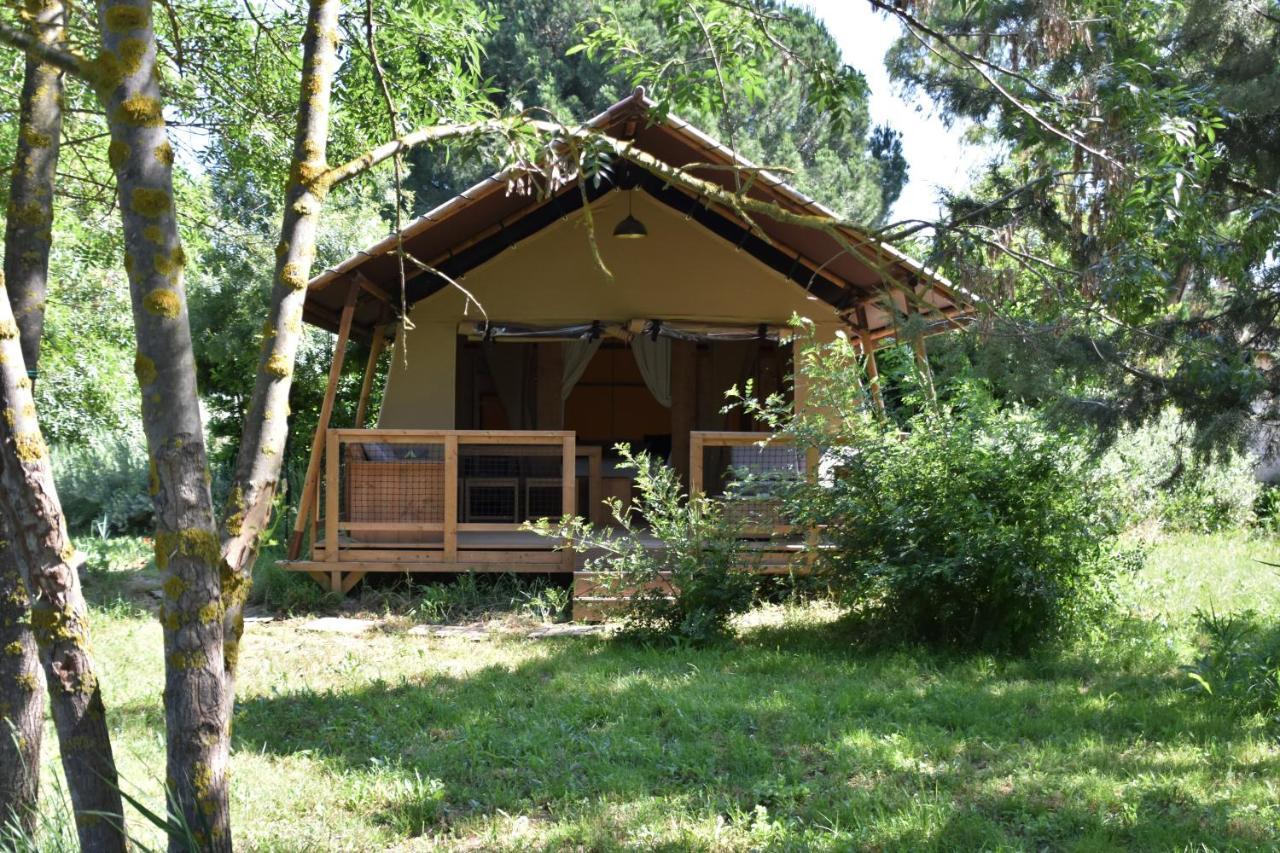 Eco-lodge 1,785839353:JPEG